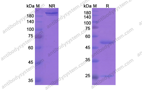 Research Grade Vapaliximab