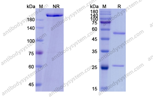 Research Grade Vibostolimab