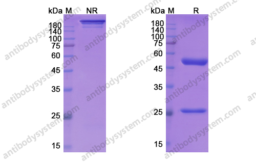 Research Grade Mirzotamab