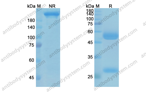 Research Grade Alirocumab