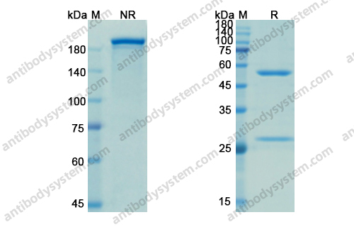 Research Grade Evolocumab