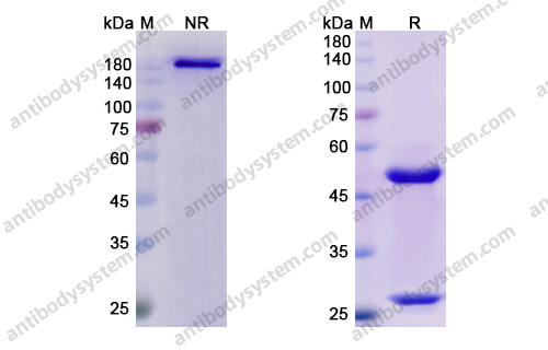 Research Grade Abagovomab