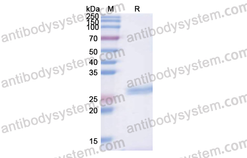 Research Grade Ecleralimab