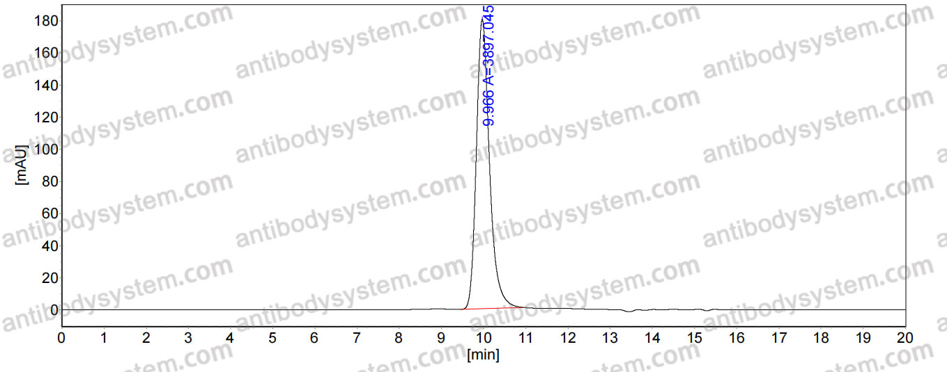 Research Grade Anti-Human TSLP (BSI-045B)