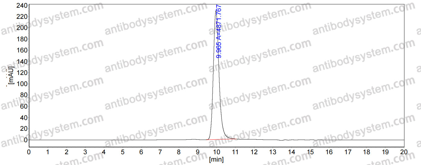 Research Grade Anti-Human TSLP Antibody (GB-0895)