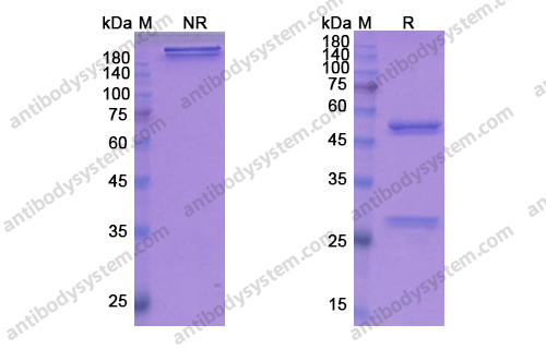 Research Grade Fezakinumab