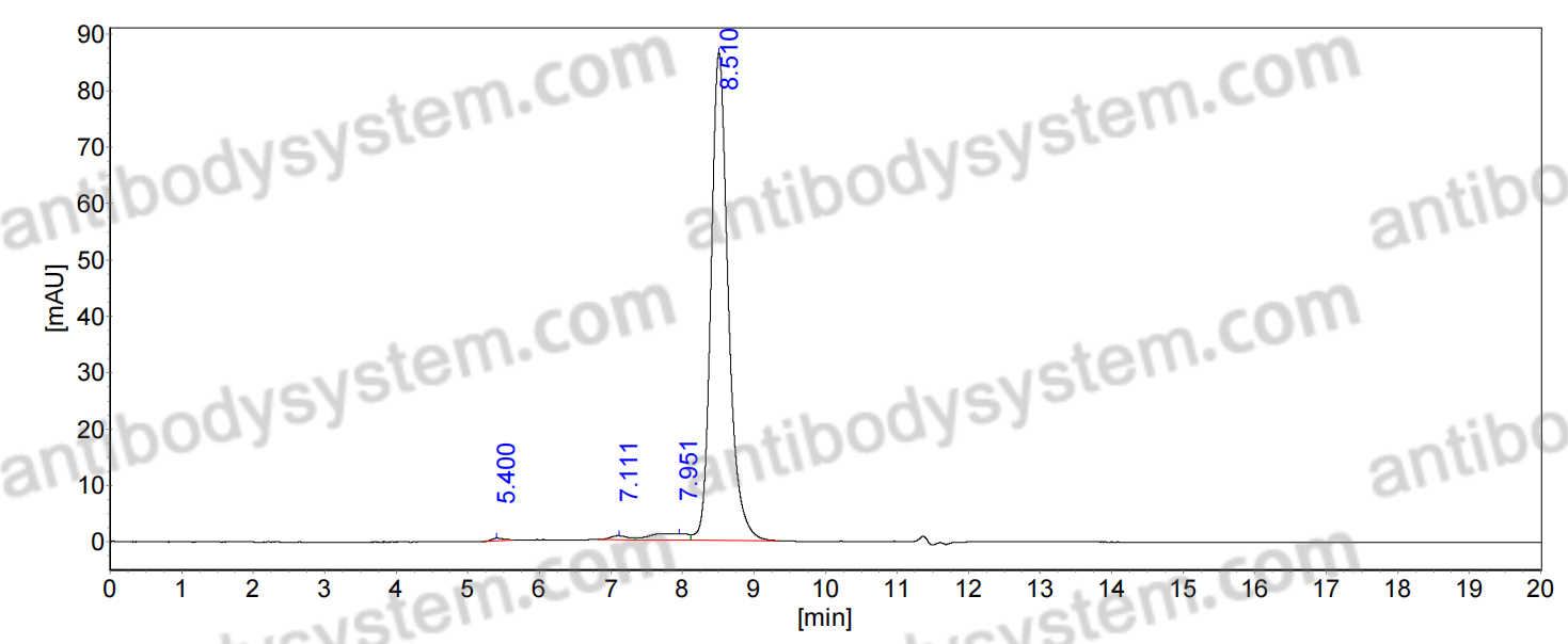SEC-HPLC for Research Grade Anti-Human CD318/CDCP1 Antibody (38 E11#) ?>
