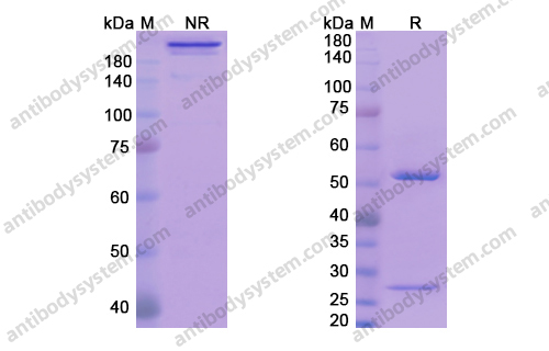 Research Grade Avizakimab