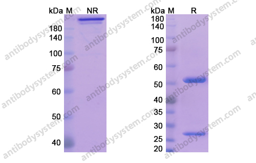 Research Grade Fletikumab