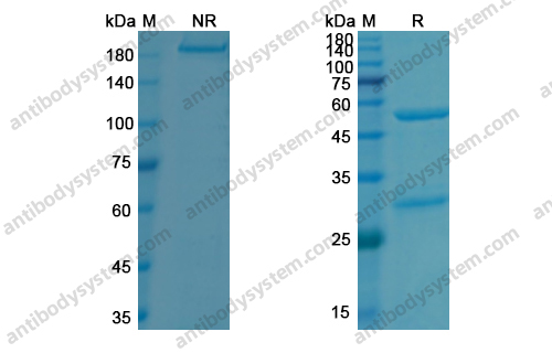 Research Grade Evinacumab