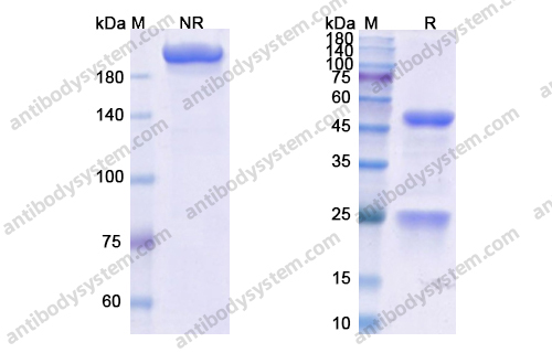 Research Grade Vopratelimab