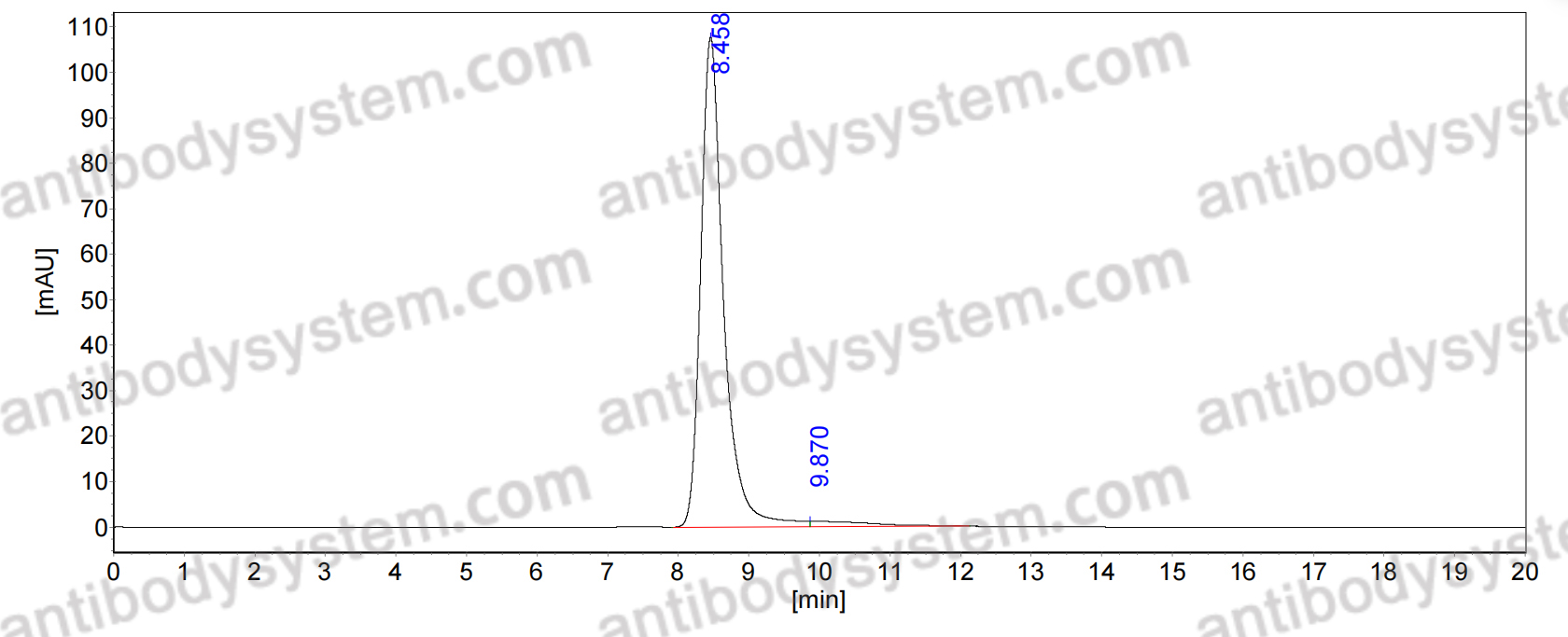 SEC-HPLC for Research Grade Anti-Human VSIR/VISTA Antibody (BMS767) ?>