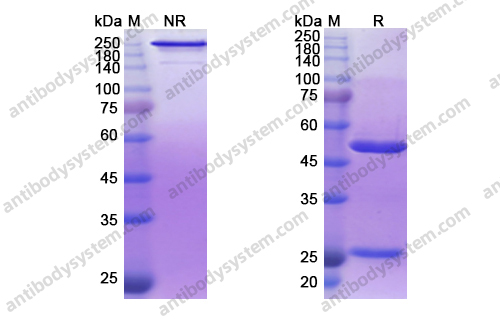 Research Grade Derlotuximab