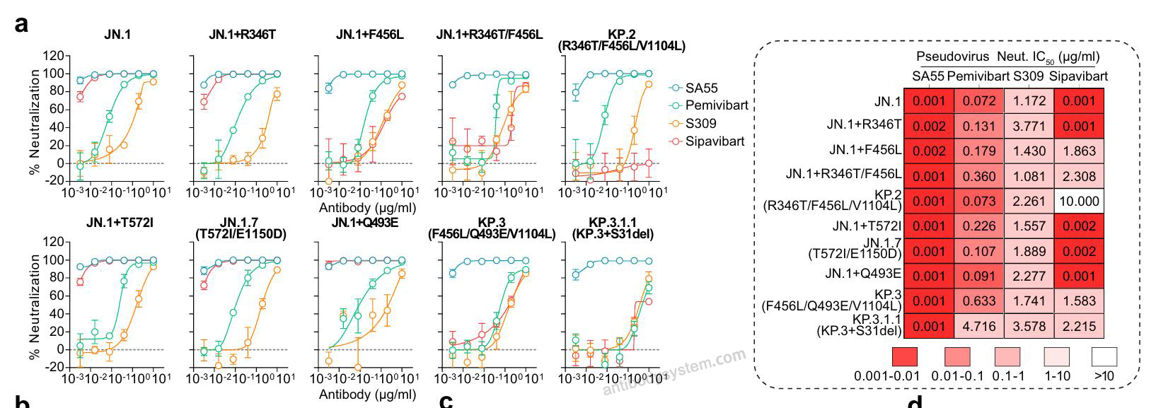 Bioactivity for Research Grade Sipavibart ?>