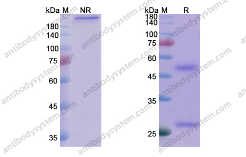 Research Grade Tuvirumab