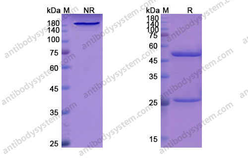 Research Grade Libivirumab