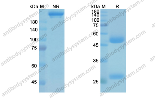 Research Grade Suvizumab