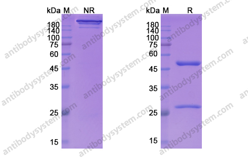 Research Grade Larcaviximab