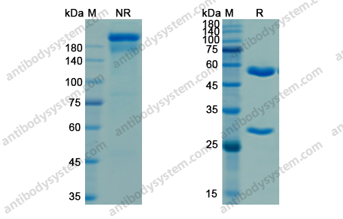 Research Grade Porgaviximab