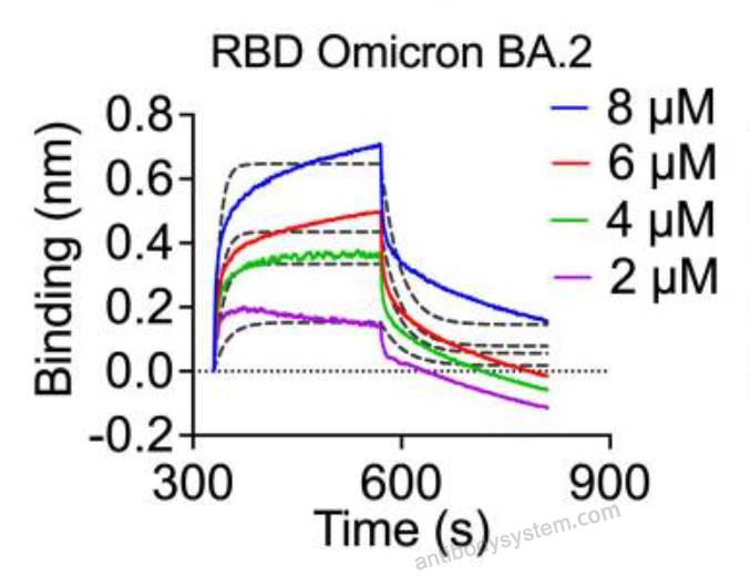 Bioactivity for Recombinant SARS-CoV-2 RBD (Omicron/BA.2) Protein, C-His ?>