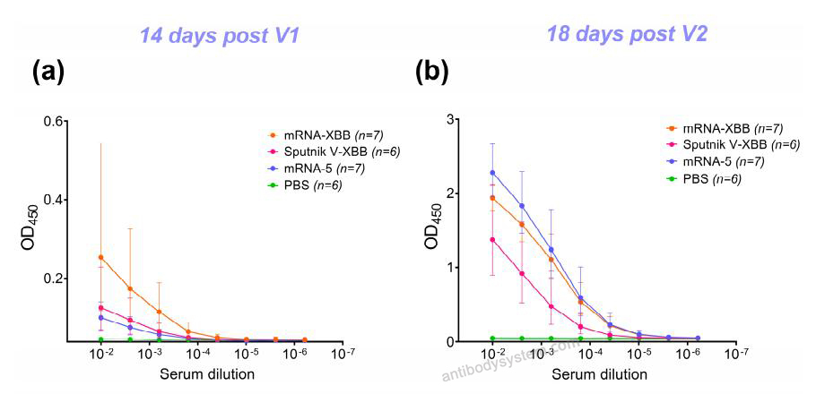 Bioactivity for Recombinant SARS-CoV-2 RBD (Omicron XBB.1.5) Protein, C-His ?>