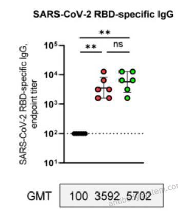 Bioactivity for Recombinant SARS-CoV-2 RBD (Omicron XBB.1.5) Protein, C-His ?>