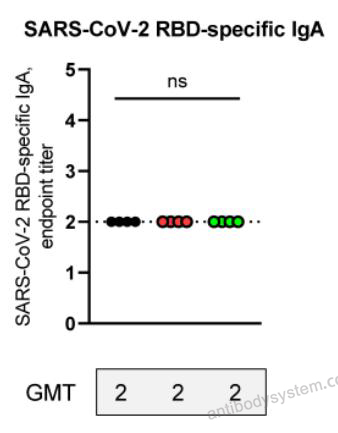 Bioactivity for Recombinant SARS-CoV-2 RBD (Omicron XBB.1.5) Protein, C-His ?>
