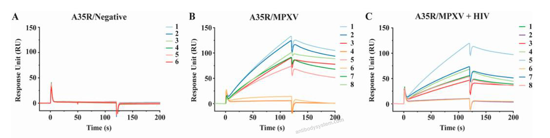 Bioactivity for Recombinant Monkeypox virus/MPXV A35R Protein, C-His ?>