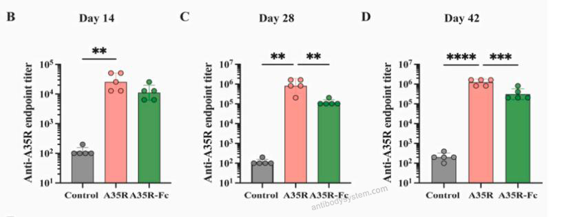 Bioactivity for Recombinant Monkeypox virus/MPXV A35R Protein, C-His ?>