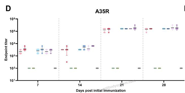 Bioactivity for Recombinant Monkeypox virus/MPXV A35R Protein, C-His ?>