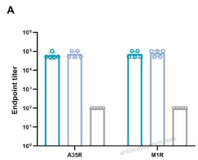 Bioactivity for Recombinant Monkeypox virus/MPXV A35R Protein, C-His ?>