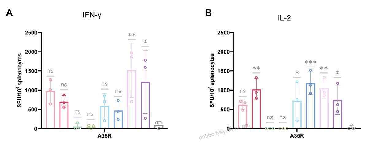 ELISPot for Recombinant Monkeypox virus/MPXV A35R Protein, C-His ?>
