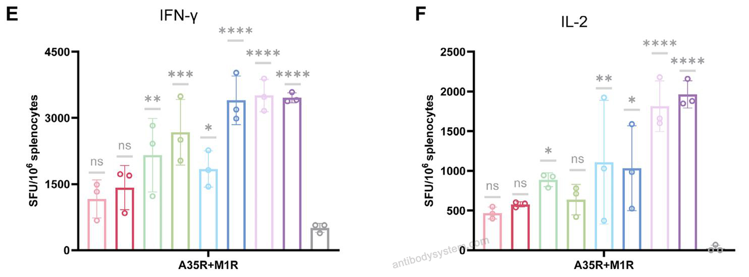 ELISPot for Recombinant Monkeypox virus/MPXV A35R Protein, C-His ?>
