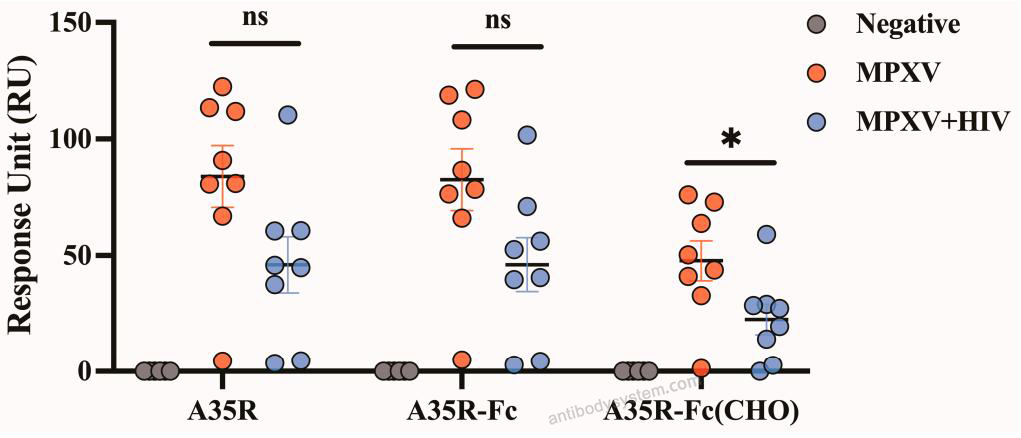 Surface Plasmon Resonance for Recombinant Monkeypox virus/MPXV A35R Protein, C-His ?>