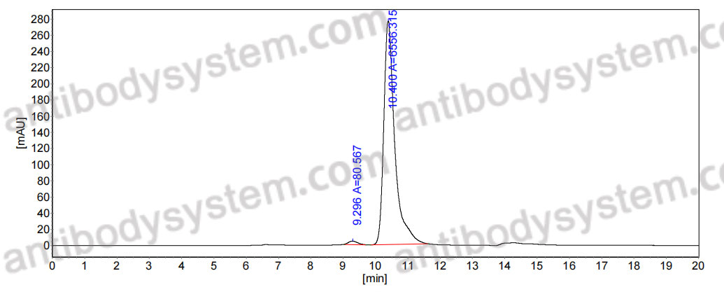 Anti-CD77 Antibody (38.13)