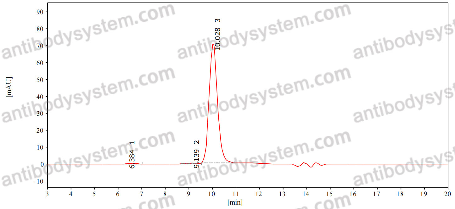 Anti-Human CLDN4/Claudin-4 Antibody (SAA0509)