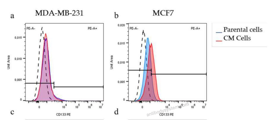 Flow Cytometry for Anti-Human CD133/PROM1 Antibody (SAA0050), PE ?>