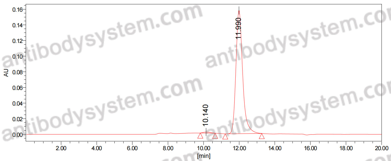Anti-Human SLC34A2/NaPi2b Antibody (SAA0766)