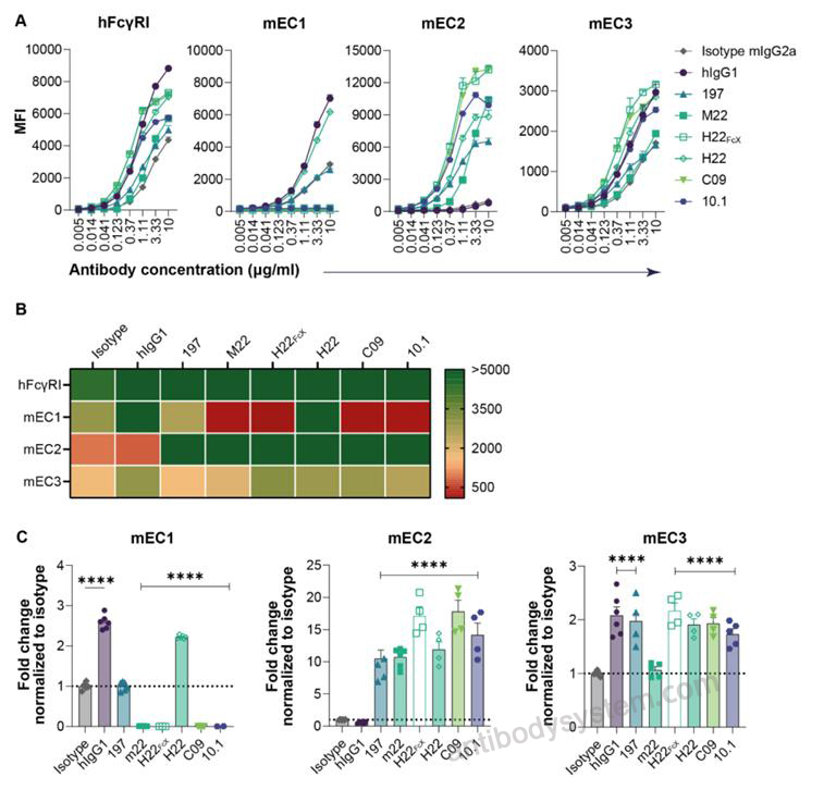 Flow Cytometry for Anti-Human CD64/FCGR1A Antibody (MDX-33) ?>