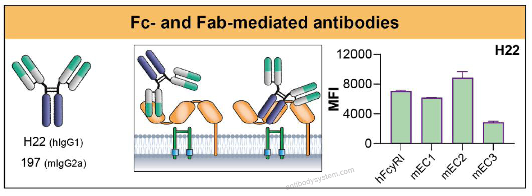 Flow Cytometry for Anti-Human CD64/FCGR1A Antibody (MDX-33) ?>