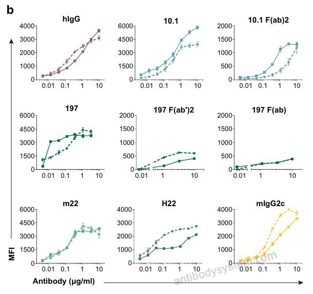 Bioactivity for Anti-Human CD64/FCGR1A Antibody (MDX-33) ?>