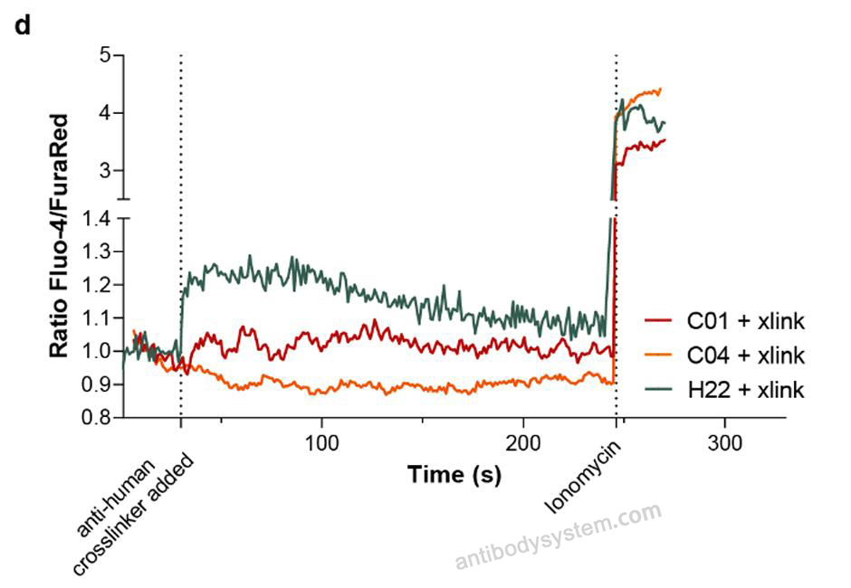 Bioactivity for Anti-Human CD64/FCGR1A Antibody (MDX-33) ?>