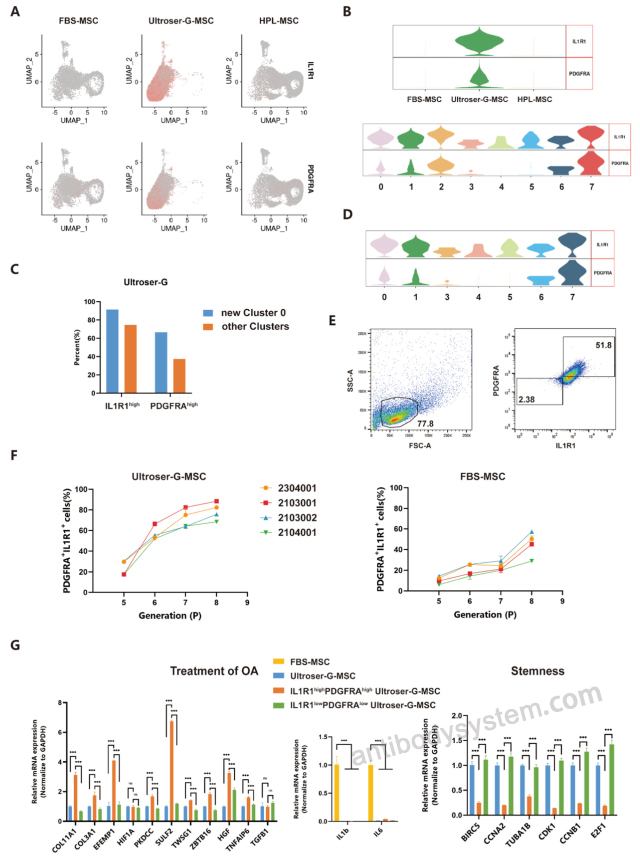 Flow Cytometry for Anti-Human CD140a/PDGFRA Antibody (SAA0056), PE ?>