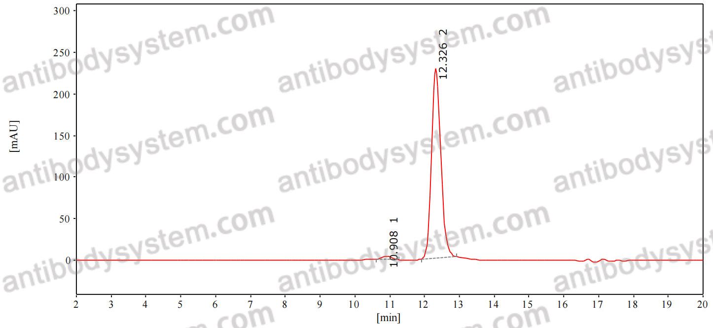 Anti-Human CD105/ENG Antibody (SAA0041)