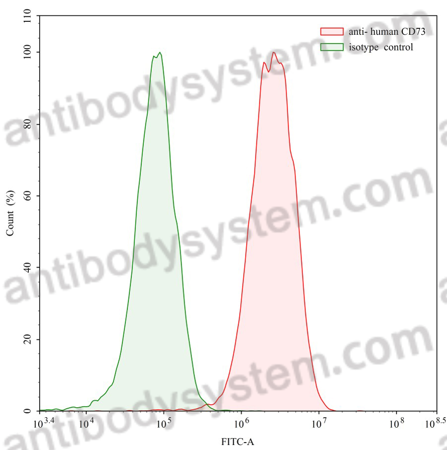 Anti-Human CD73/NT5E Antibody (SAA0033)
