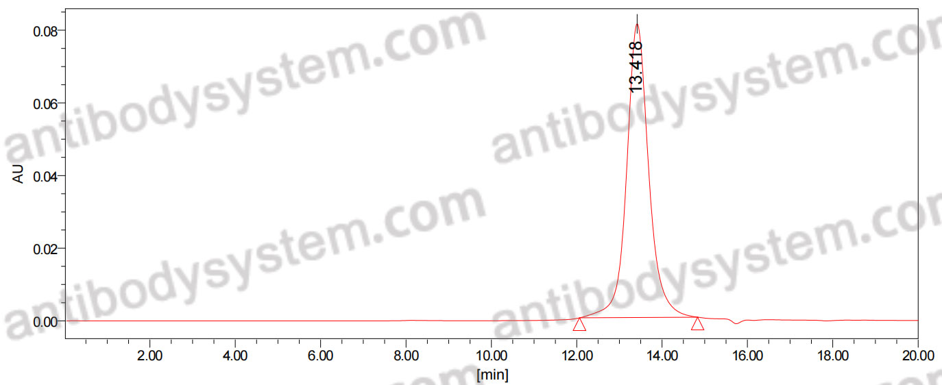 Anti-Human A2AR/ADORA2A Antibody (SAA0318)