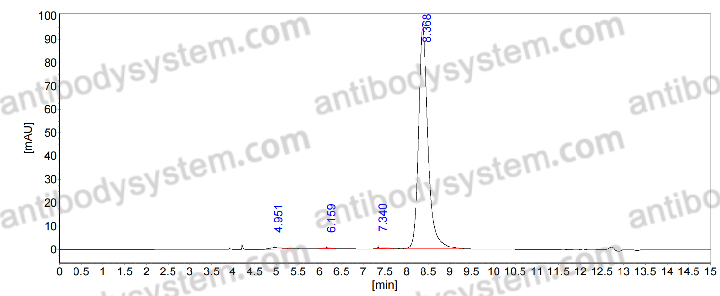 Anti-CD185/CXCR5 Antibody (JB11-40)