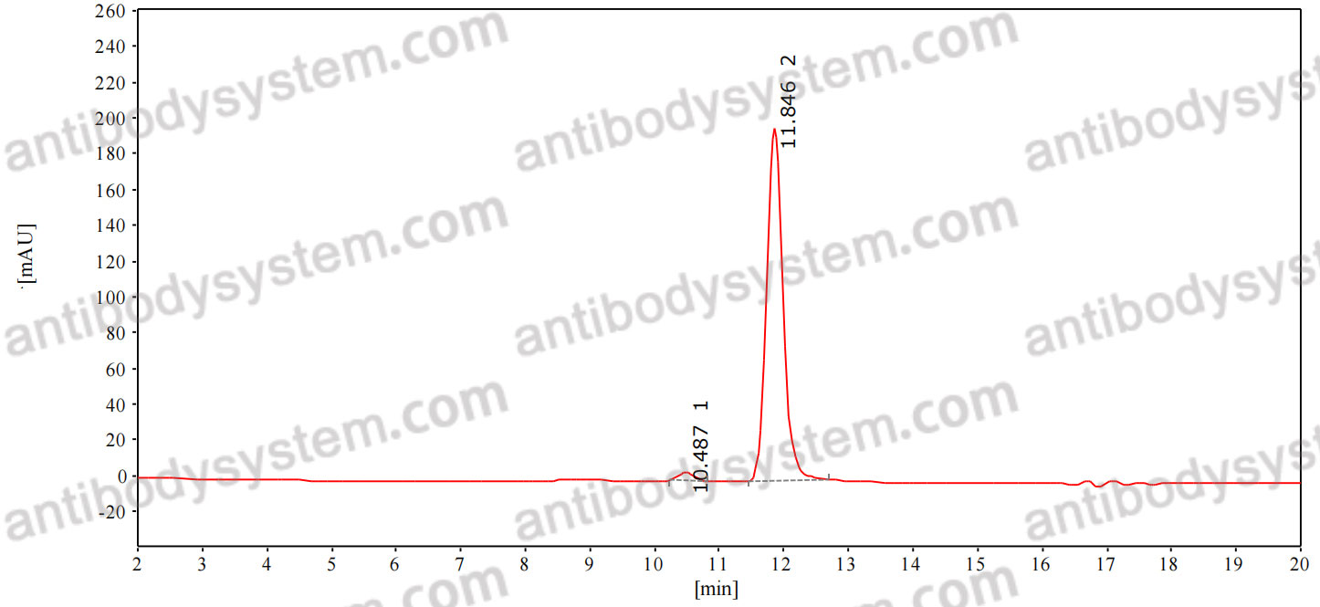 Anti-Human NOS2/iNOS Antibody (SAA0105)