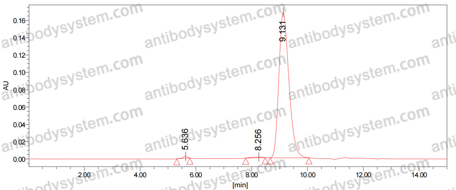 Anti-Human CD86/B7-2 Antibody (PMP2B10)