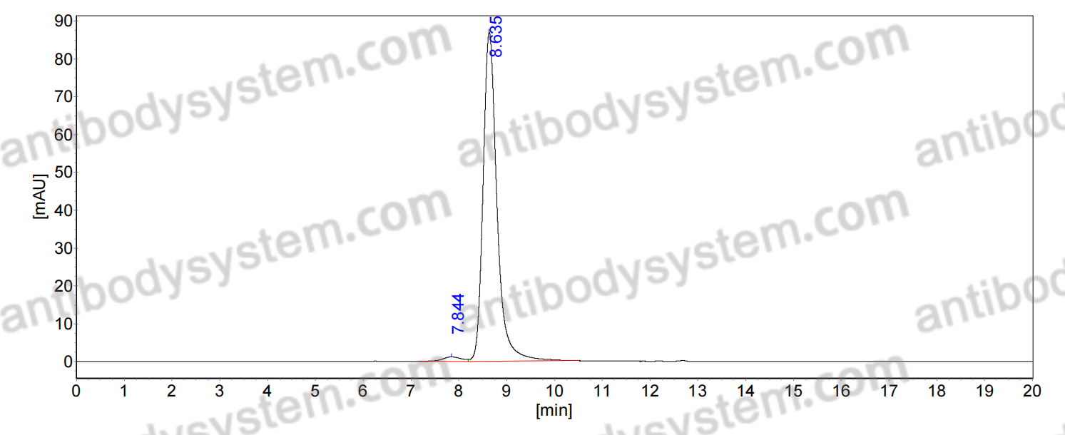 Anti-Human XCR1 Antibody (5G7)